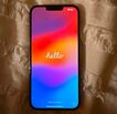 256 GB iPhone 13 pro max