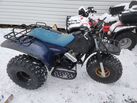 2000 Honda, arctic cat Honda,  arctic cat 