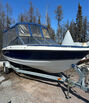 2010 Bayliner  195