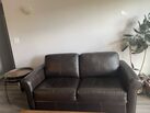 Genuine leather sleeper couch 
