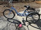 Schwinn Meridian Adult Tricycle