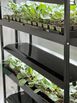 Plant light stand